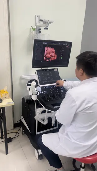 Dwt50 의료용 초음파 진단 장비 높음